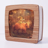 Star Walk Seasonal Transparency | ©Conscious Craft